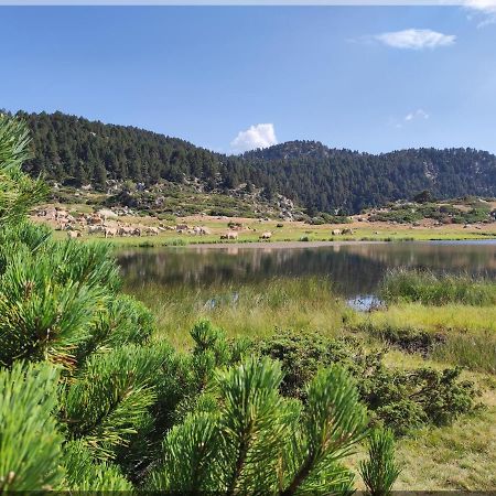 Residence Orazur - Appartement De Charme - 2 Chambres - Poele A Bois - 2 Balcons - Jardin - Parking - Internet - Linge Et Menage En Options Payantes Font-Romeu-Odeillo-Via Zewnętrze zdjęcie
